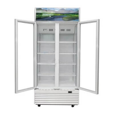 Tủ mát SANAKY 2 cánh mở 2 bên VH-8009HP